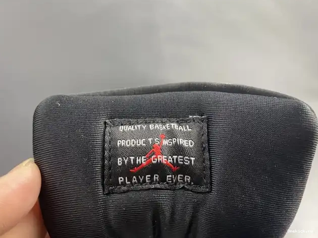 One Kick ANIMAL AIR JORDAN 11 INSTINCT AR0715-010 0531